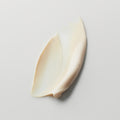 Master || Pump of Great Skin Moisturizer.