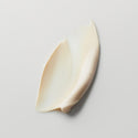 Master || Pump of Great Skin Moisturizer.